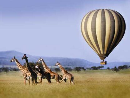 Serengeti-Hot-Air-Balloons